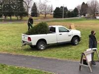 A white truck with a man in the bed tying down a tree.