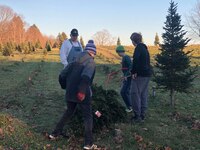 Three people standing around a downed Christmas Tree.  One is holding a bow saw.