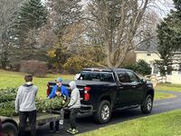Four scouts unloading a wrapped Christmas tree off the back of a flat-bed trailer behind a black pick-up truck.