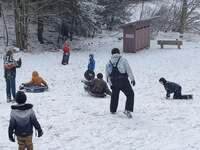 Eight scouts sledding down a hill.