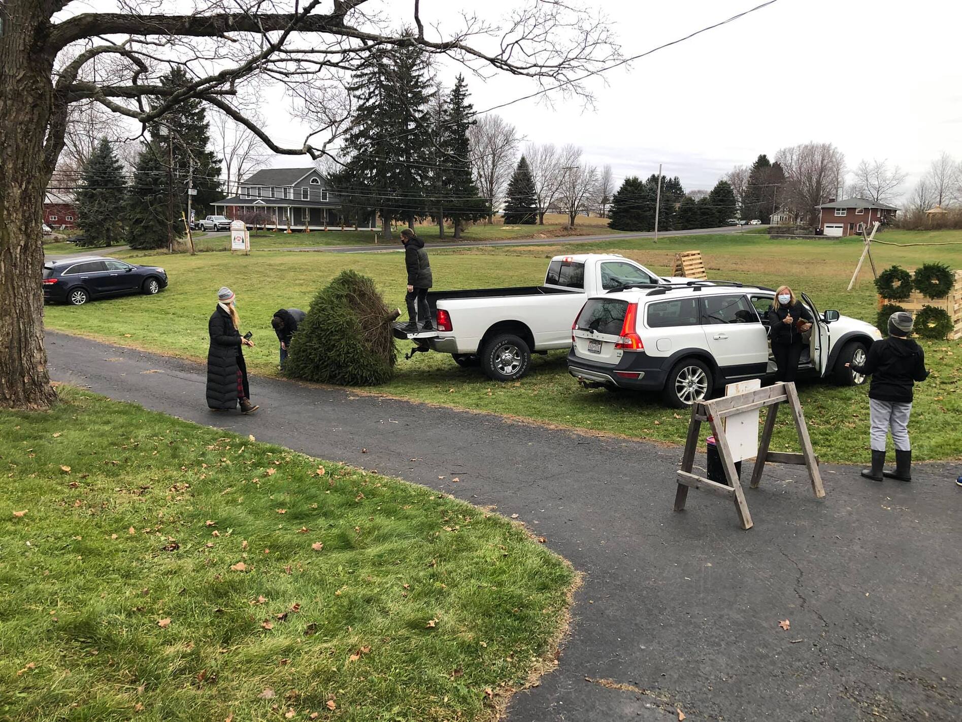 One white truck and a white car next to it.  A man is standing in the bed of the truck, while a scout helps lift the tree up in the bed.