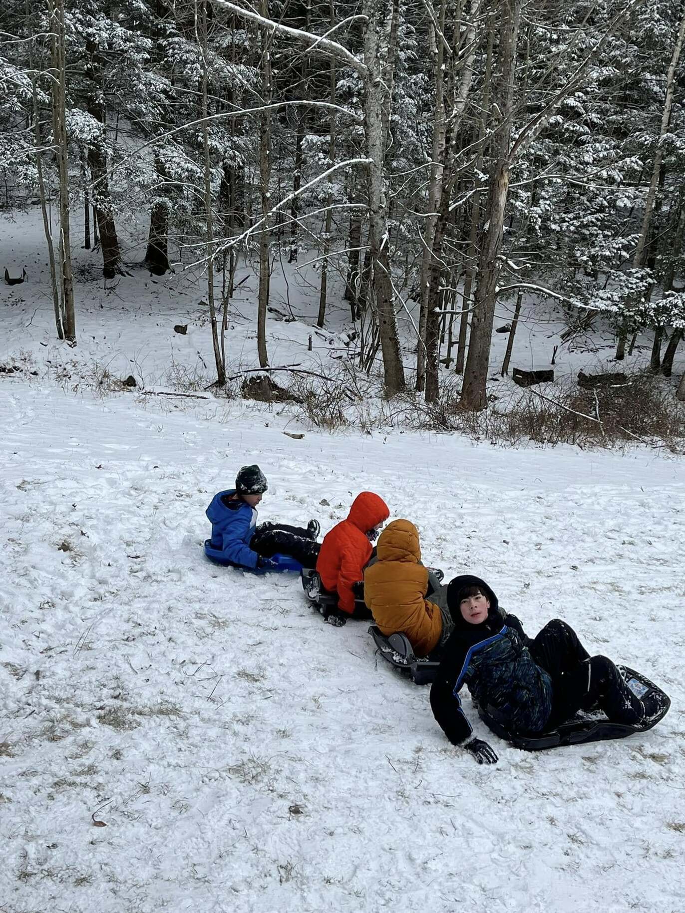 Four scouts sit on sleds about to go down a snowy hill.